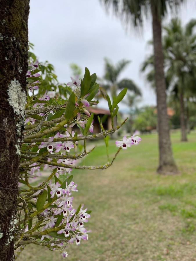 Hotel Pousada Quinta Da Mantiqueira Penedo  Exteriér fotografie